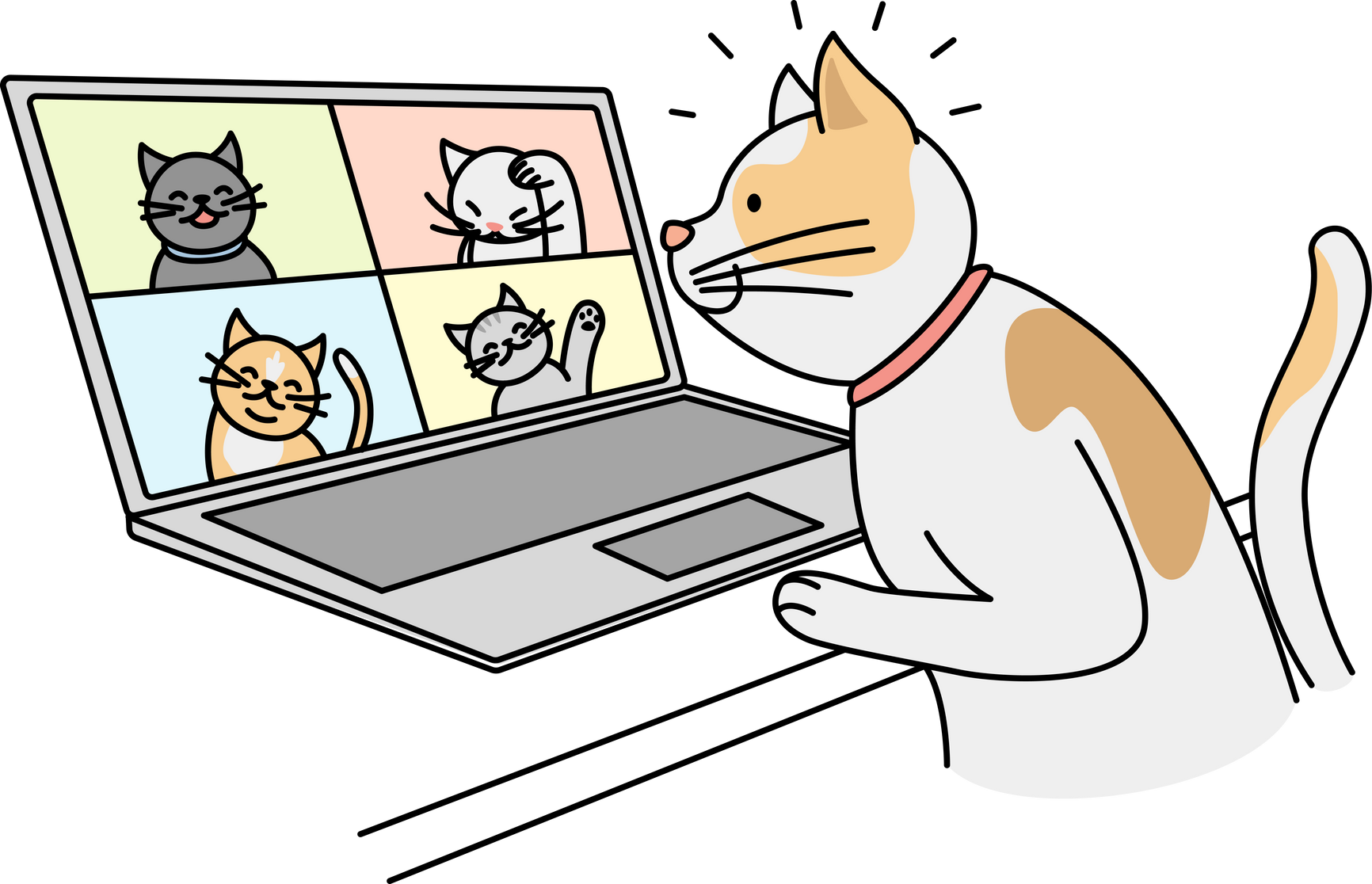 Cat Talk on Video Call with Pets